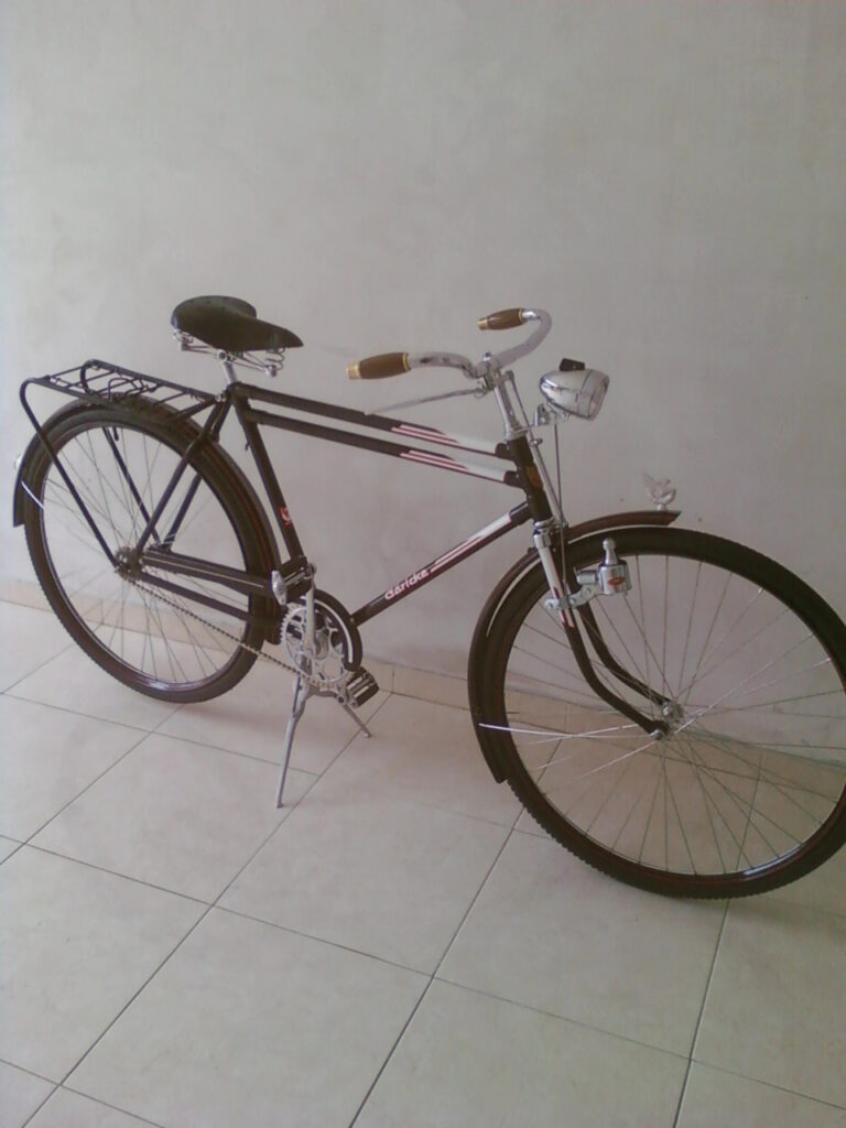 ROBO BICICLETA SEGURO HOGAR