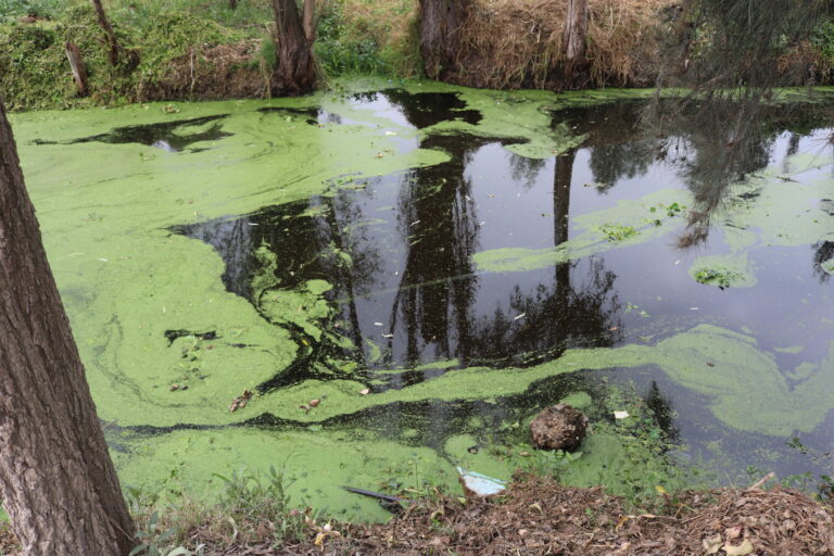 DAÑOS POR AGUA SEGURO HOGAR