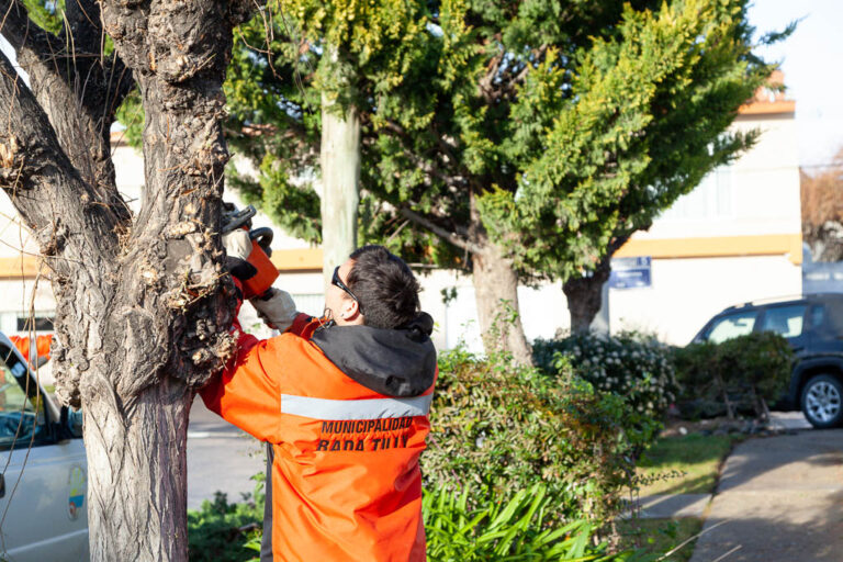 CADA CUANTO SE PAGA EL SEGURO DE HOGAR