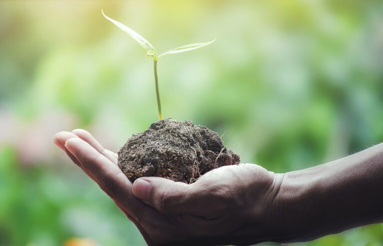 LIMPIADORES ECOLOGICOS PARA EL HOGAR