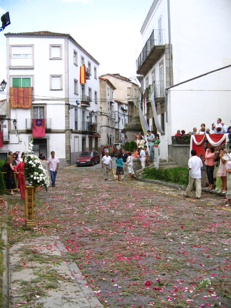 DECORACION HOGAR POR MAYOR