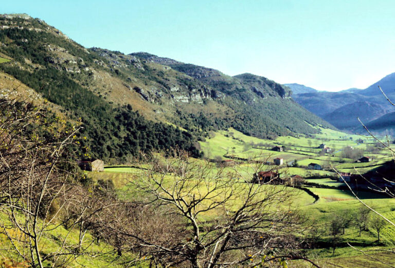EMPLEADA DE HOGAR CANTABRIA
