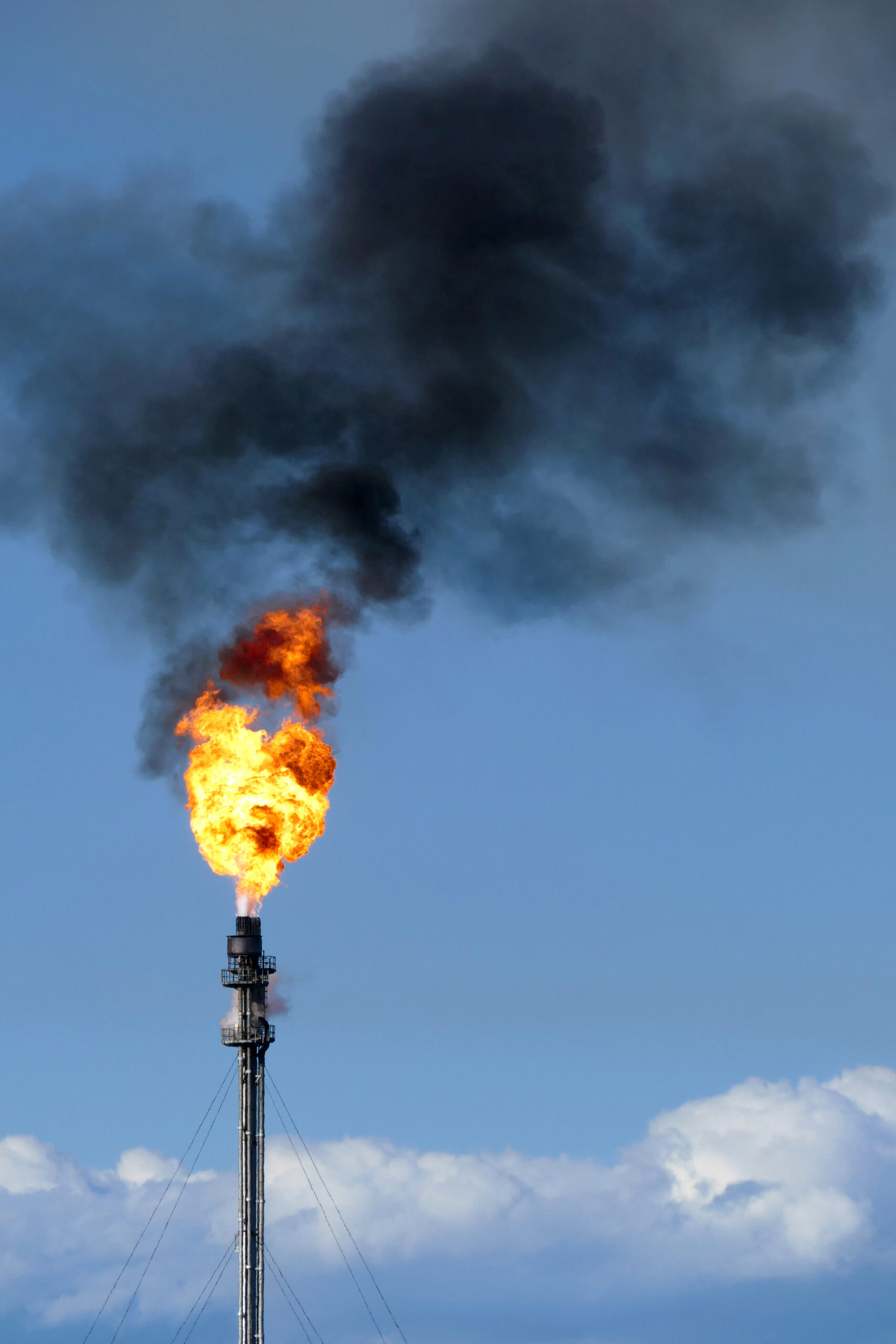 ORBEGOZO ESTUFA GAS LLAMA AZUL EFECTO HOGAR LEÑA
