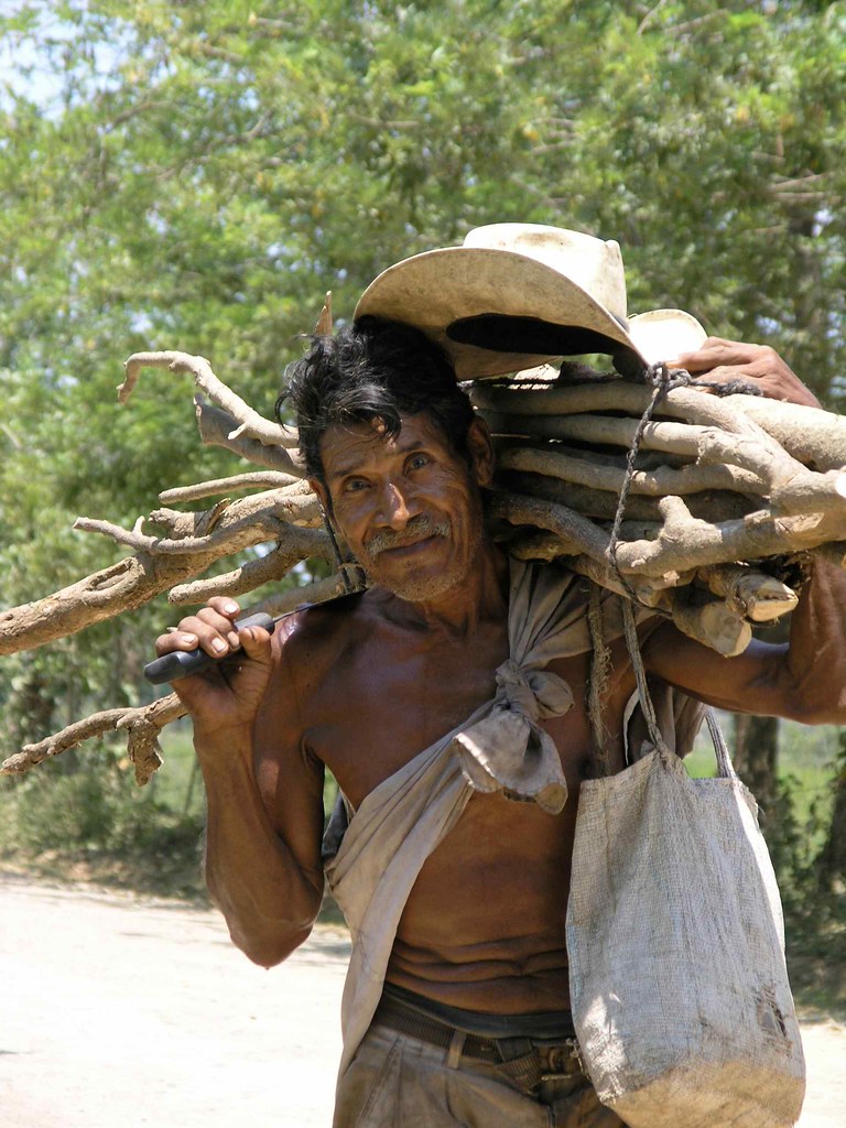HOGAR DE LEÑA ESQUINERO