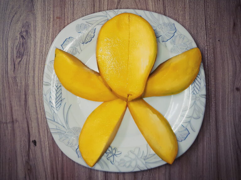 MANGO ROPA DE HOGAR
