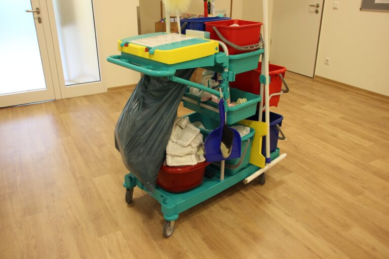 LIMPIEZA HOGAR TORREJON DE ARDOZ