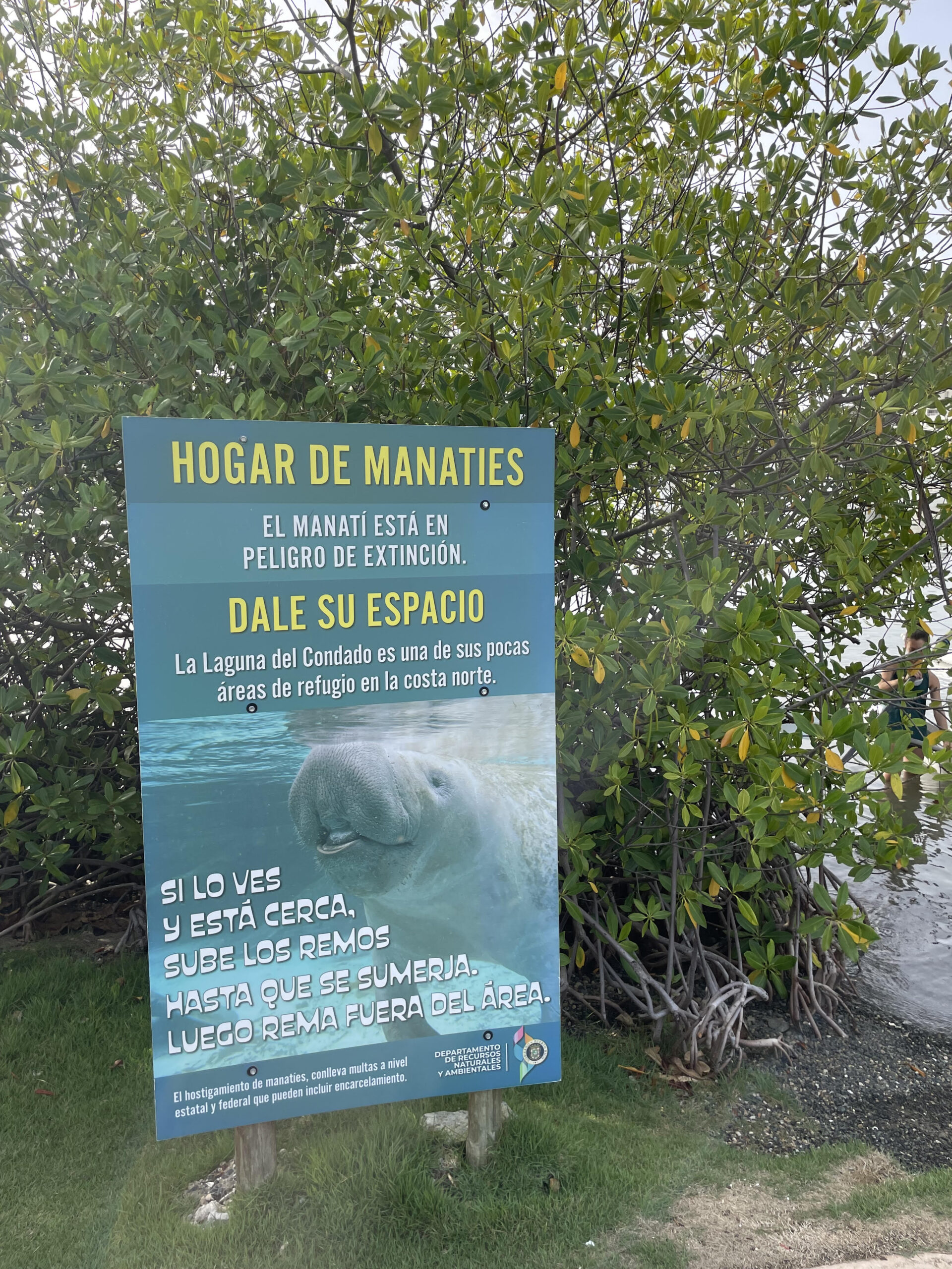 ASISTE HOGAR CIUDAD REAL