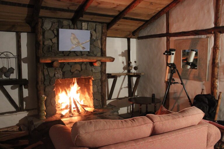 OFERTAS EN DECORACION HOGAR