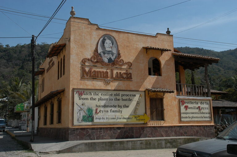 HOGAR IPLUS SANTA LUCIA