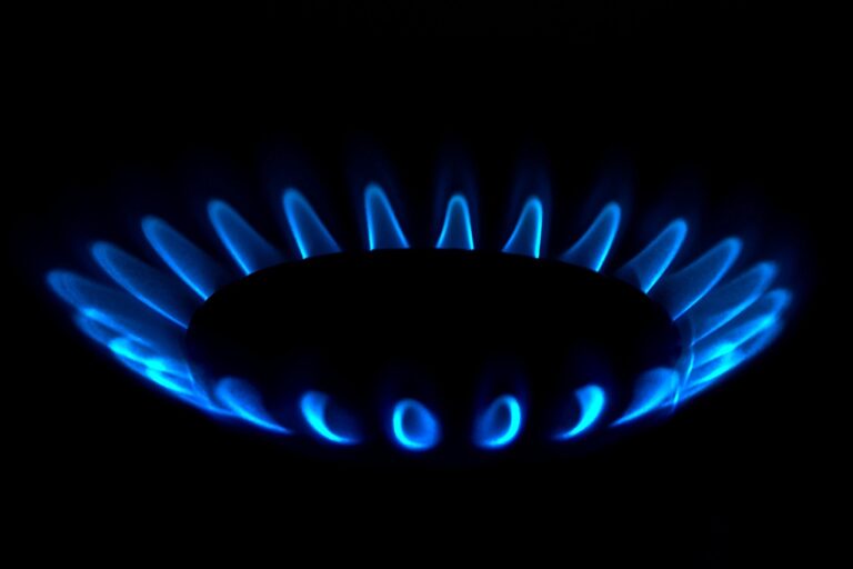 HOGAR LUZ Y GAS BY MULTISAFEPAY
