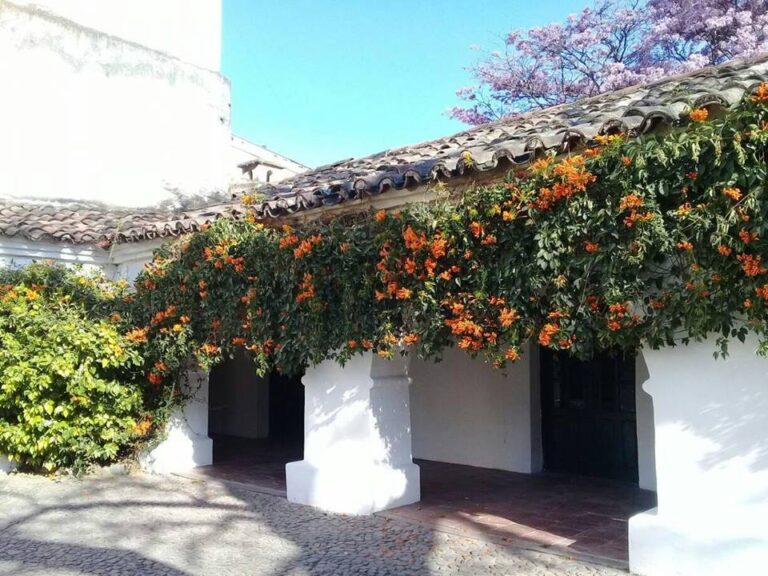 SEGUROS HOGAR BARATOS PARA INQUILINOS