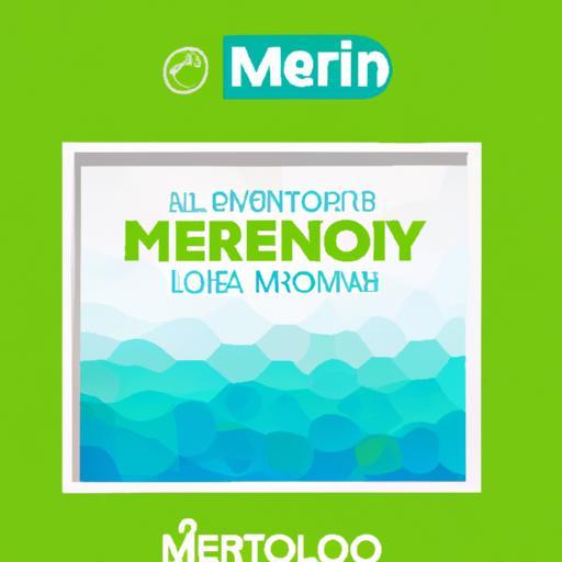 Leroy merlin filtro entrada agua vivienda